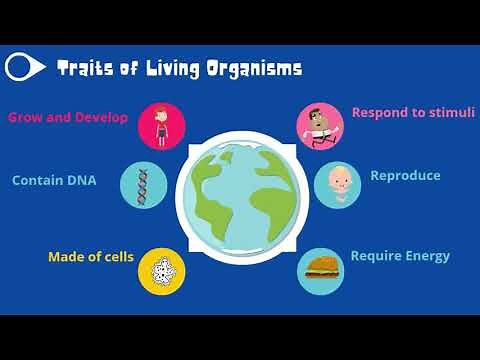 ECOSYSTEMS Grade 7
