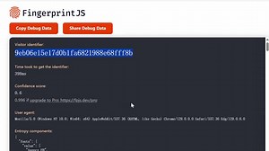 Understanding Browser Fingerprinting and Privacy Protection