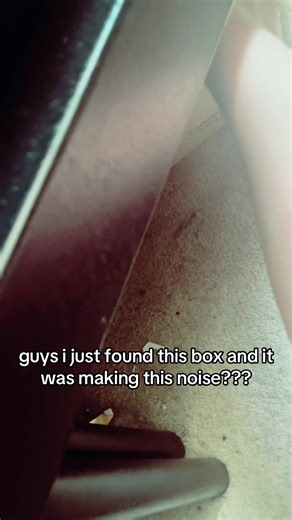 Unboxing a Mysterious Noisy Box