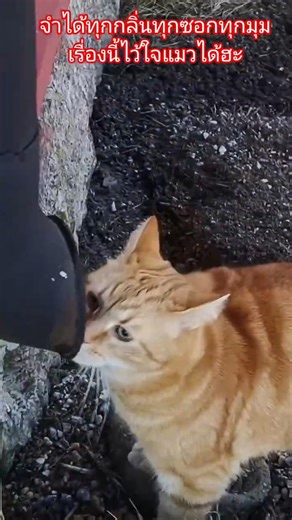 เชื่อใจเราได้‼️ไม่เคยทำให้ผิดหวัง 10 เมษายน 2026