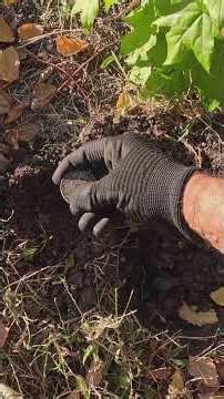 Is This the Luckiest Coin Find Ever?