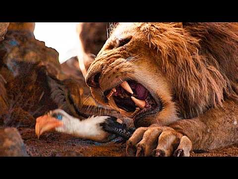 The Lion King & Mufasa | Opening Scenes Recap