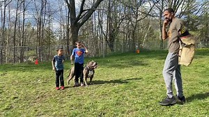 9-Year-Old Shows Incredible Control Over Protection-Trained Pit Bull Kobe