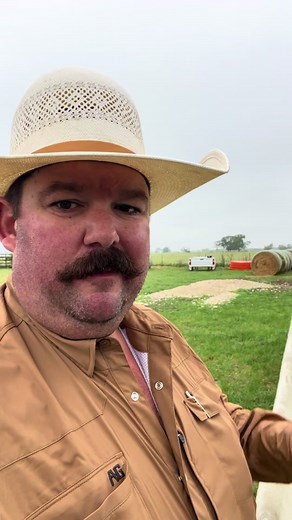 Ranch Feedlot Bunk Design Tips