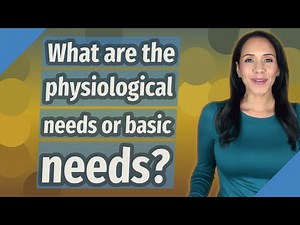 What are the physiological needs or basic needs?