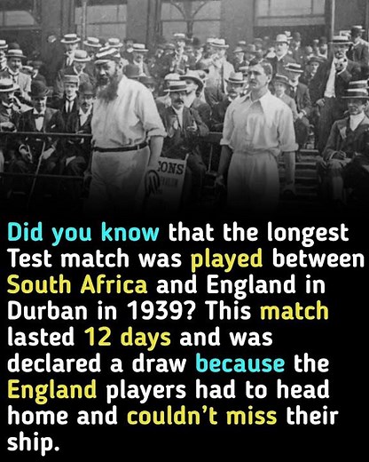 The Longest Test Match in Cricket History #facts #education #knowledge