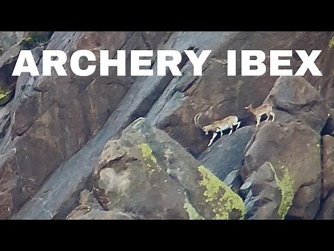 Archery Ibex Hunting New Mexico Florida Mountains 2023