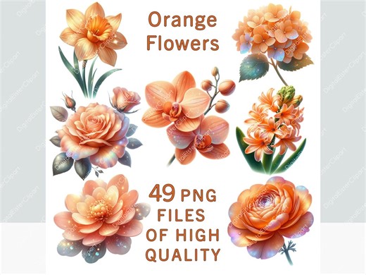 Orange Flower Clipart Set Botanical Floral Collection for Prints Invitations Cards Stickers Wedding Decor Digital Design Commercial Use - Etsy Canada