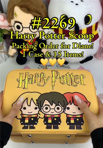 Adorable Harry Potter Mystery Box Unveiled!
