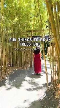 Fun Things to do in Freestone, Sonoma County, California