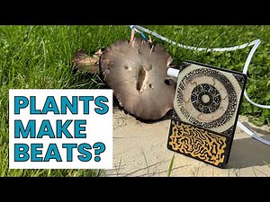 First Look at the Instruo Pocket Scion | Generative Music from Living Organisms 🌱🎶