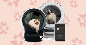 I Have Three Cats but You'd Never Know Thanks to This One Pet Product