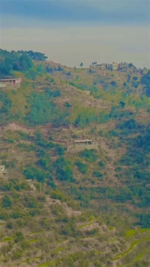 How to Unfreeze Your Account Easily and Quickly