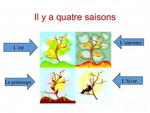 Les Saisons online schauen auf mit englischen Untertiteln 1440p 16:9