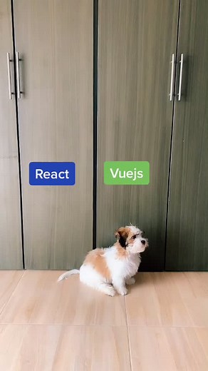 Desarrollo de Software con Vue.js y Django