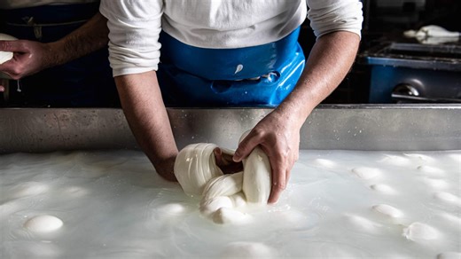 Making Industrial Mozzarella: How to Make Perfect Buffalo Mozzarella Cheese