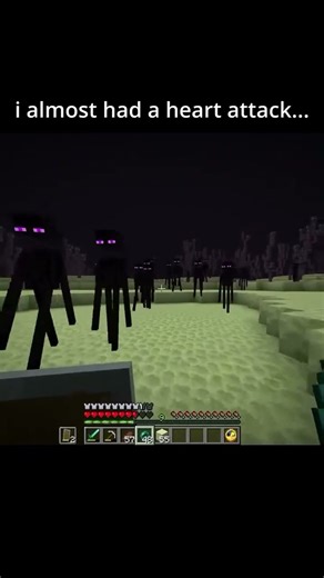 don't click on the Minecraft video