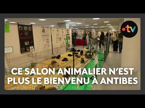 Le salon "Univers du chiot et du chaton" n'est plus le bienvenu à Antibes