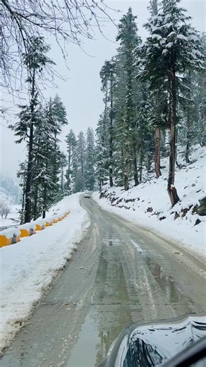 Discover Winter Wonders in Kalam Valley