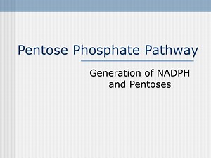 Pentose Phosphate Pathway - SlideServe