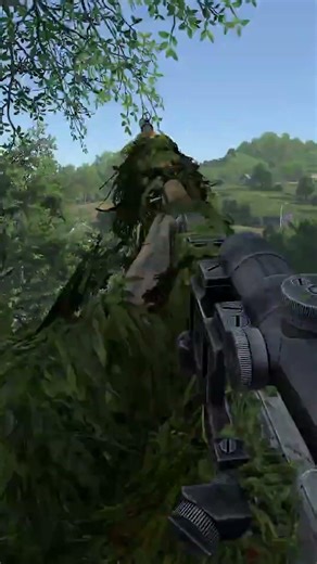Overwatching a Blood Bath in DayZ