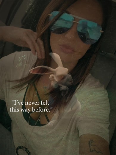 Stupid Rabbit: A Relatable POV Experience