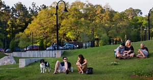 Dog-Friendly Parks in Florida | VISIT FLORIDA