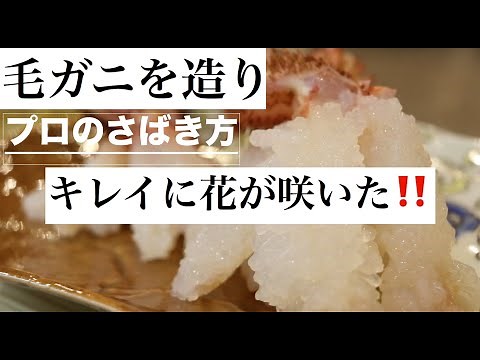 毛カニを刺身に綺麗に花が咲いた‼️プロのさばき方‼️〜028 〜 ちょと為になる話『日本料理まもろをかい』 青華こばやし＃青華こばやし
