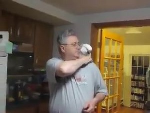 67K views · 527 reactions | The ultimate swearing cockatoo parrot warning: lots of ''F'' word :D one of the funniest ever. | WTF | Facebook