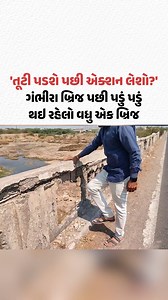 764K views · 10K reactions | Amreli-Rajkot હાઇવે પર આવેલો આ બ્રિજ પડું પડું હાલતમાં, સ્થાનિકોએ કહ્યું- 'તૂટી પડશે પછી એક્શન લેશો?' #Amreli #Rajkot #AmrelirajkotHighway #Highway #Bridge #Gscard #Gujaratsamachar | Gujarat Samachar | Facebook
