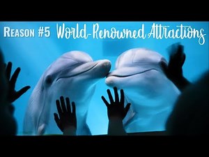 Why is Clearwater Beach the #1 Beach in the U.S.? World-Renowned Attractions.