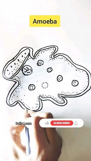 how to draw amoeba diagram with dots trick #shorts #viral #science #diagram#study#drawing#dailylearn