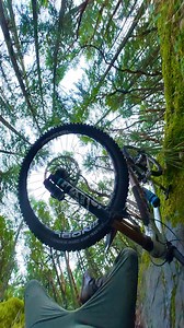 Pushed my speed on the mossy rocks too far yesterday and found the limit 😵. This was definitely my error though- I misplaced the front tire and paid a price of going over the bars. Thankfully I’m all good though, just a bit bruised but nothing worse. Luckily I cushioned the bike’s fall with my body so it’s all good too 🫡😅 📍Trail: Guns n Roses • @transitionbikes @noblwheels @vorsprungsuspension @akta_mtb @schwalbetires @dunbarcycles @lewisbike_official @rndm.company • #mountainbikecrash #vanc