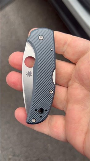 Is this the perfect Spyderco carry?