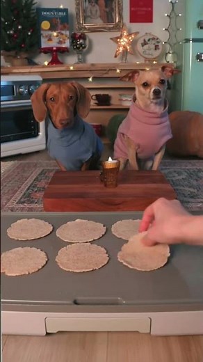 this is takings to far can't believe pets eat better now then humans🤣🤣🤣