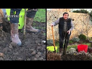 How to plant a fruit tree in the garden? - Truffaut