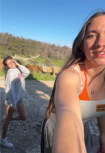 ‏The cows didn’t dance 🥀 @Arielle🌷 #cow #moo #milk #hamburger #dance