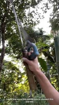 Setting up mini boxing gym part 2#fypシ #fypシ