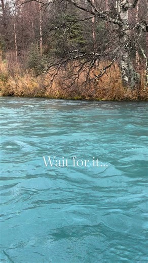 Gotta love those takes on the Kenai #alaska #alaskalife #fishing #kenai #rainbowtrout | From The Sea Creations