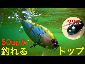 Bass fishing - Catching lots of fish! Buy top water lures!