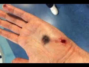 USFA ZiP 22lr Test Fire®️