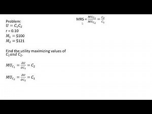 Intertemporal Choice: Utility Maximization Over Two Time Periods