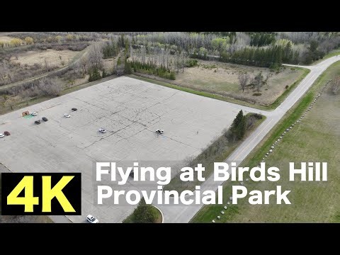 Flying Drone at Birds Hill Provincial Park | DJIMini4Pro