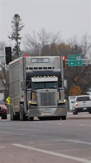 52K views · 2K reactions | ##peterbilt #truck #josueluis_gt | truckinlegend01 | Facebook