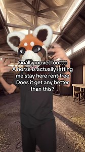 hes been acting a bit weird tho… #furry #femboy #fyp #stables #horse | fox in the stable