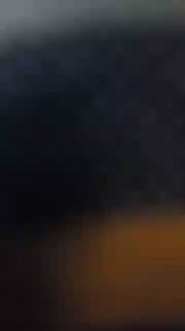 Cristae are found in :-... | Filo