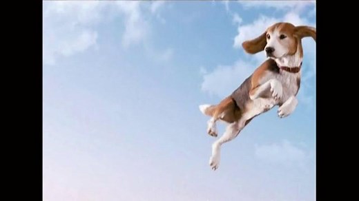 Frontline Plus for Dogs TV Spot, 'Flea Fighter'