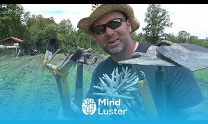 Mind Luster - Learn NO GIMMICKS Garden Tool Comparison Simple ORGANIC WEED CONTROL BUILDS SOIL
