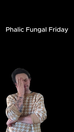 Welcome to phallic fungal friday. Lets learn about the Verpa! #mushrooms #funfacts #phallic #fungi #morel