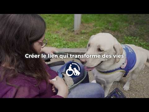 HANDI’CHIENS: These dogs that change lives 🐕‍🦺💙 | Testimonials & immersion